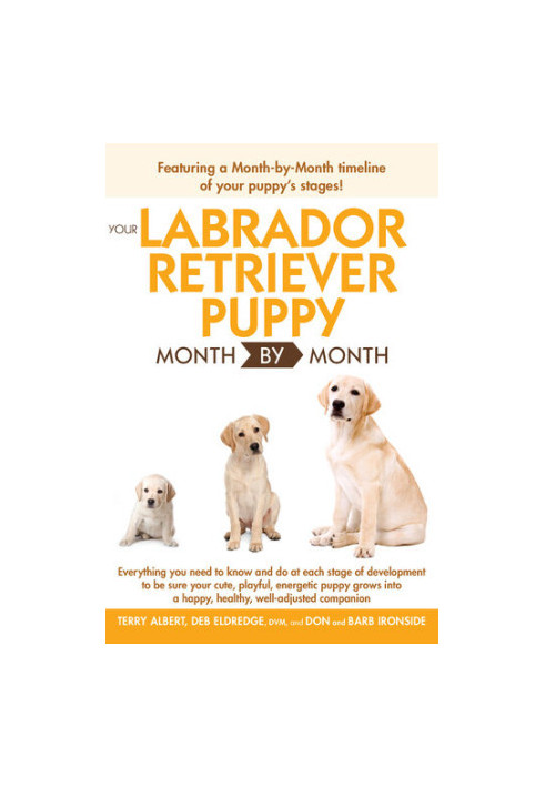 Your Labrador Retriever Puppy Month by Month