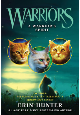A Warrior's Spirit