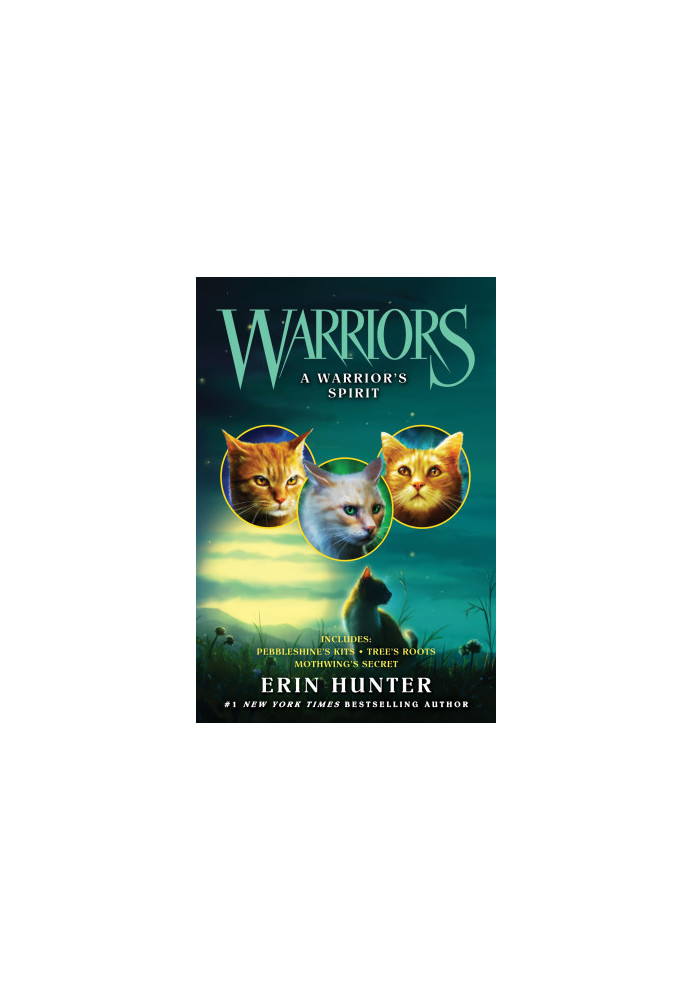 A Warrior's Spirit