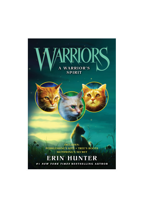 A Warrior's Spirit