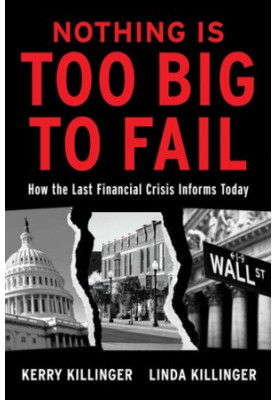 Nothing is Too Big to Fail: How the Last Financial Crisis Informs Today