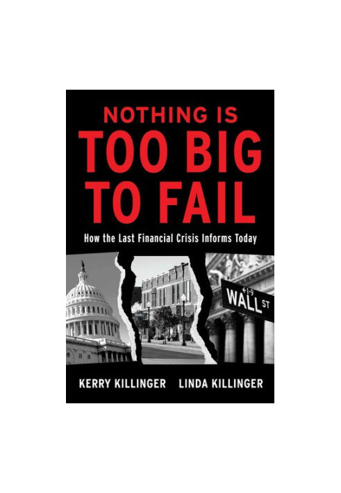 Nothing is Too Big to Fail: How the Last Financial Crisis Informs Today