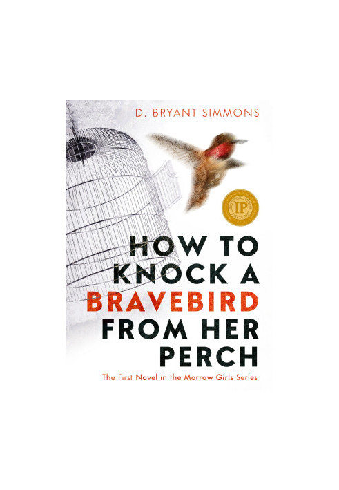 [Morrow Girls 01] • How to Knock a Bravebird from Her Perch · The First Novel in the Morrow Girls Series (9780985751616)