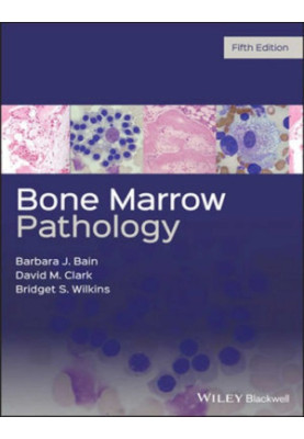 Bone Marrow Pathology