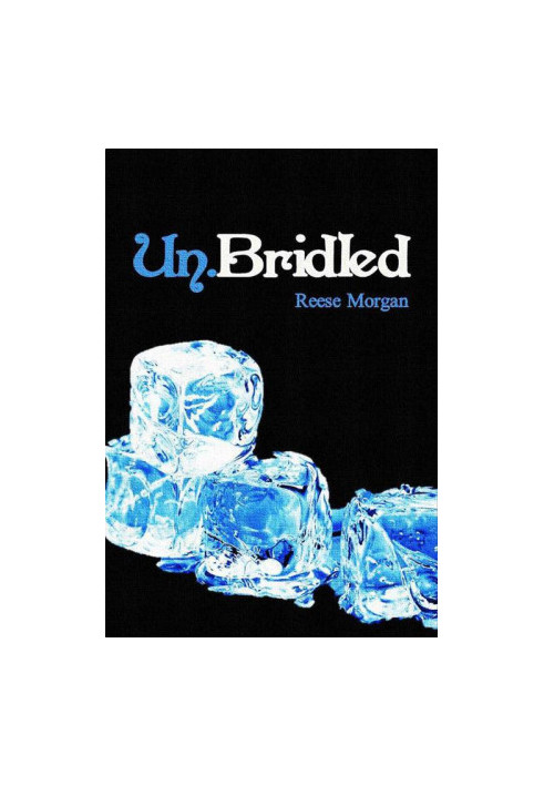 [Slayter 02] • Un.Bridled