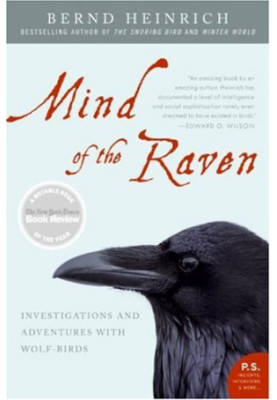 Mind of the Raven - Investigations and Adventures with Wolf-Birds