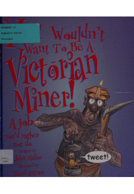 You Wouldn't Want to be a Victorian Miner!