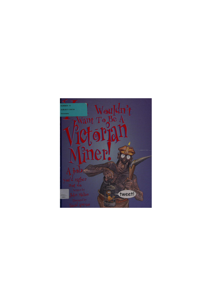 You Wouldn't Want to be a Victorian Miner!