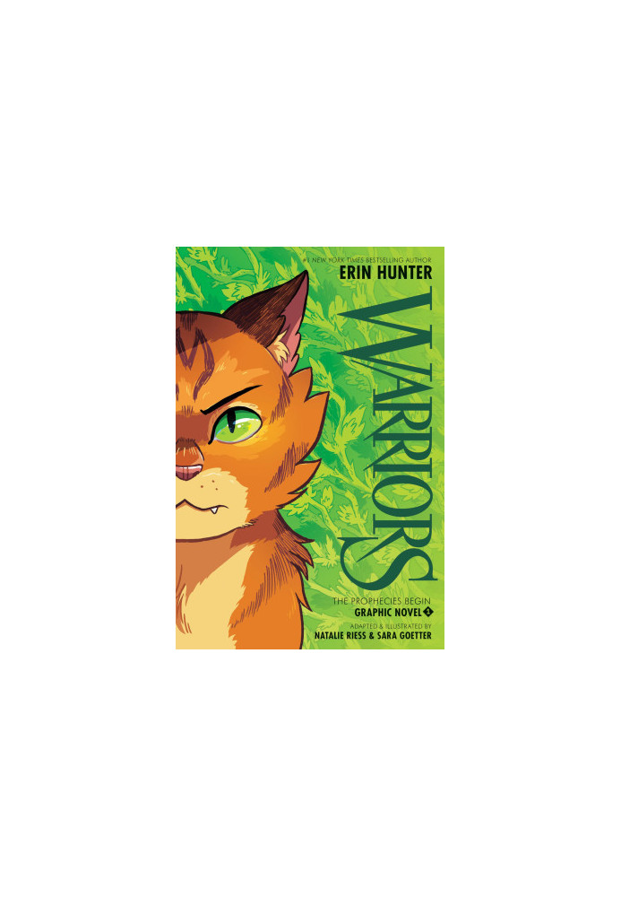 Warriors Graphic Novel: The Prophecies Begin 1