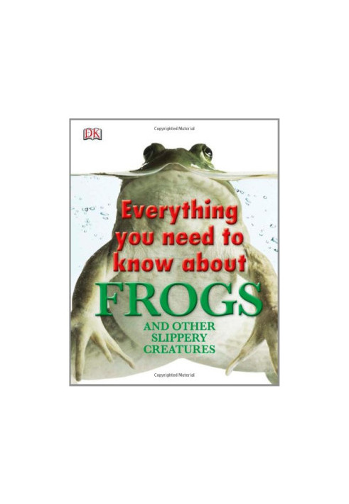 Everything You Need to Know About Frogs and Other Slippery Creatures