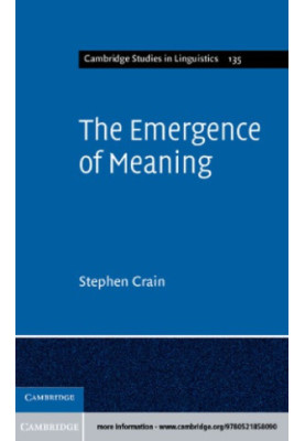 Emergence of Meaning
