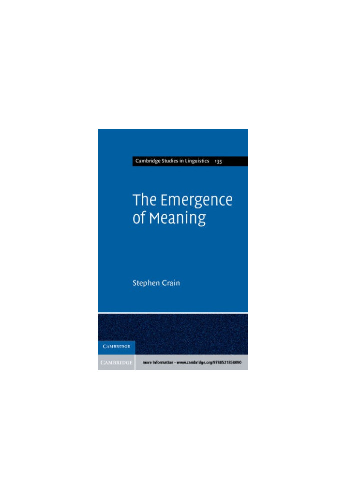 Emergence of Meaning