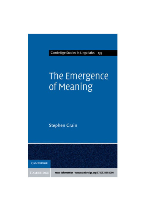 Emergence of Meaning