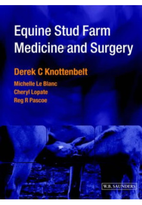 Equine Stud Farm Medicine & Surgery