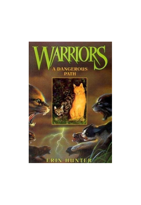 A Dangerous Path (Warriors, Book 5)