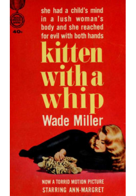 Kitten with a whip