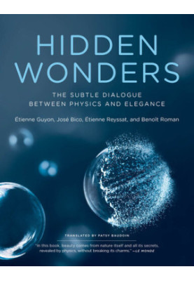 Hidden wonders : the subtle dialogue between physics and elegance