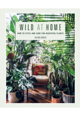 Wild at home: how to style and care for beautiful plants