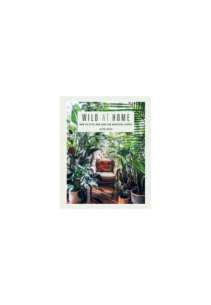 Wild at home: how to style and care for beautiful plants