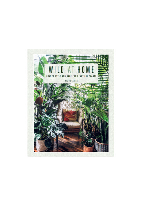 Wild at home: how to style and care for beautiful plants