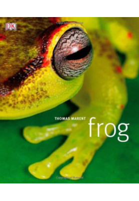 Frog: A Photographic Portrait