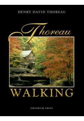 Walking