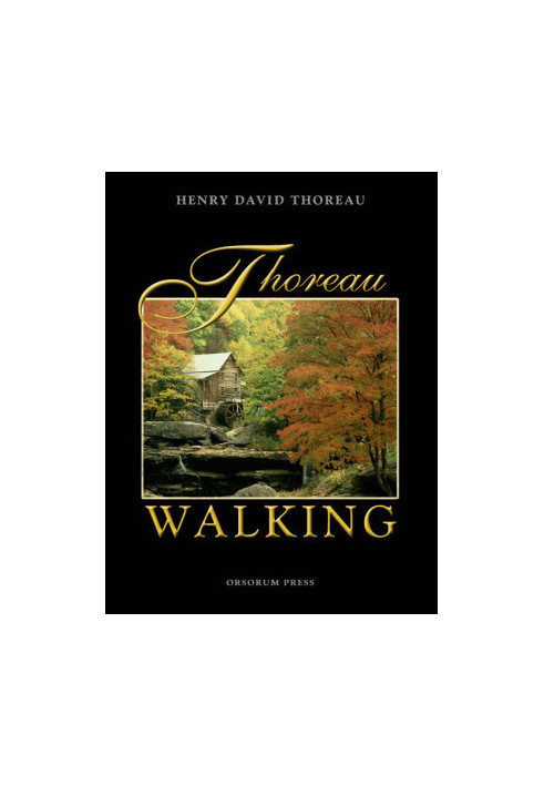 Walking