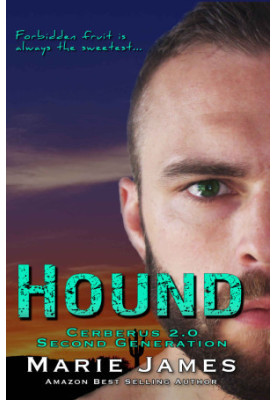 Hound Cerberus 2.0 Book 2