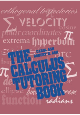 The Calculus Tutoring Book
