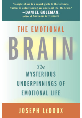 The Emotional Brain: The Mysterious Underpinnings of Emotional Life