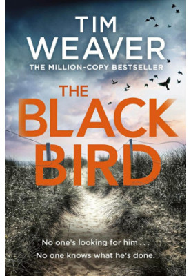 The Blackbird - David Raker Series 11 (2022)