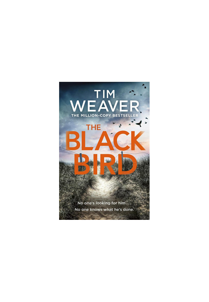 The Blackbird - David Raker Series 11 (2022)