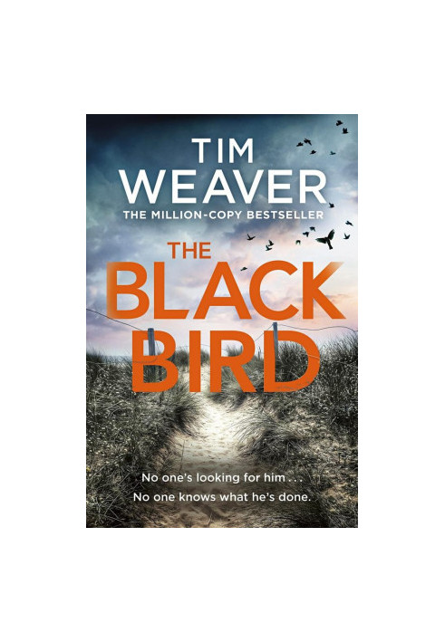 The Blackbird - David Raker Series 11 (2022)