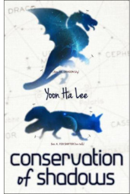 Conservation of Shadows