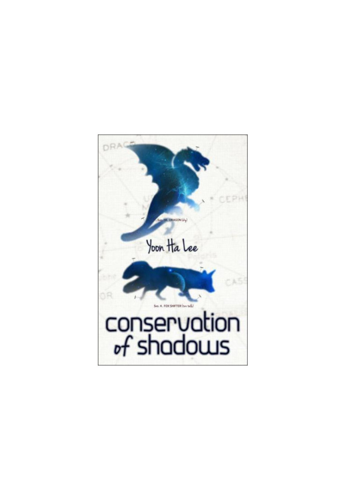Conservation of Shadows