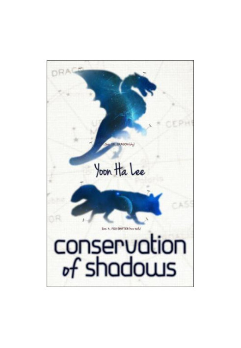 Conservation of Shadows
