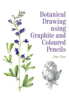 Botanical Drawing using Graphite and Coloured Pencils