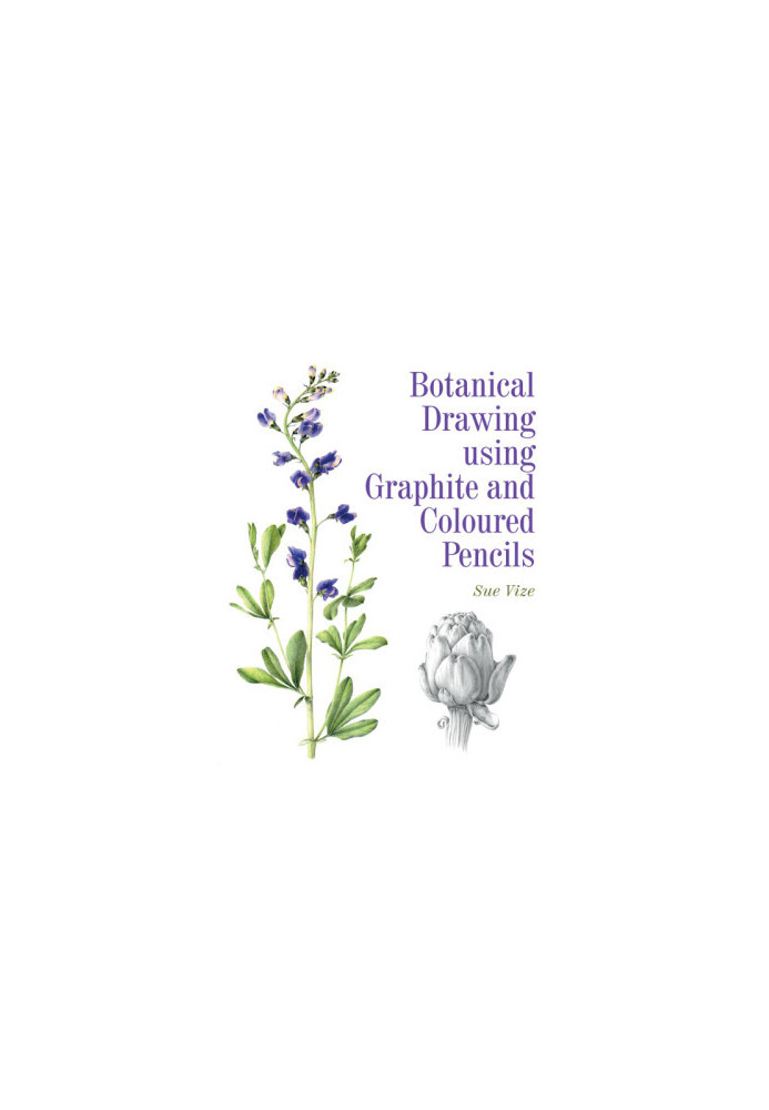 Botanical Drawing using Graphite and Coloured Pencils