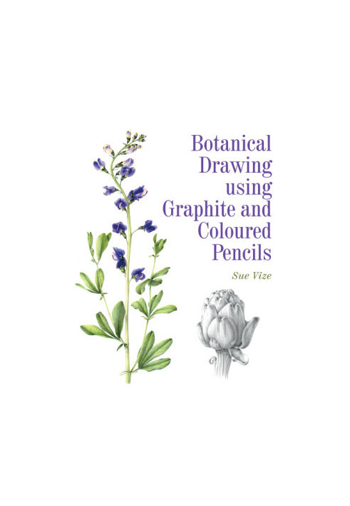 Botanical Drawing using Graphite and Coloured Pencils
