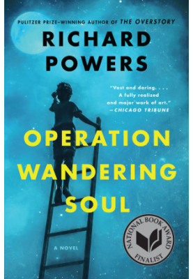 Operation Wandering Soul