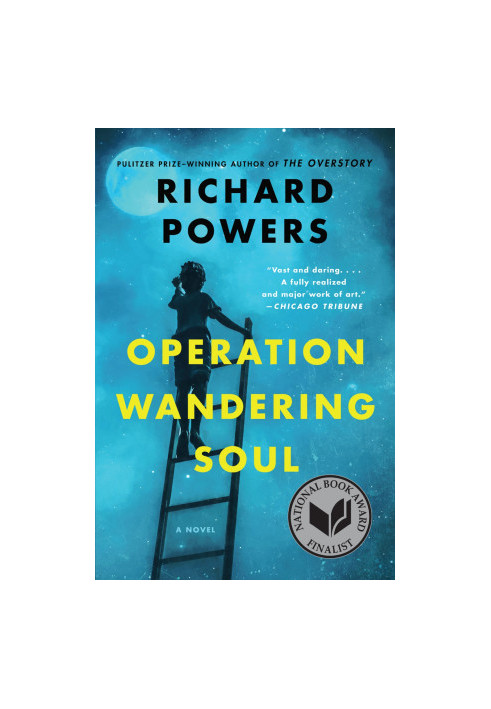 Operation Wandering Soul