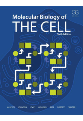 Molecular Biology of the Cell