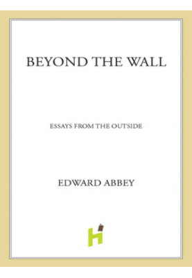 Beyond the Wall: Essays from the Outside