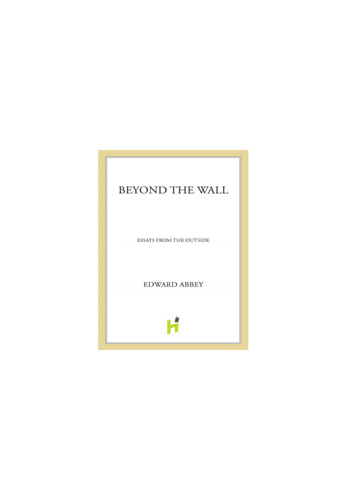 Beyond the Wall: Essays from the Outside