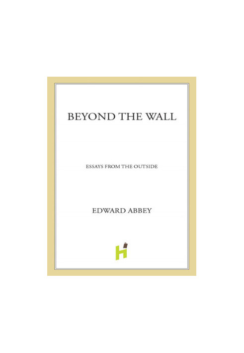 Beyond the Wall: Essays from the Outside