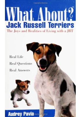 What About Jack Russell Terriers: The Joys and Realities of Living with a JRT