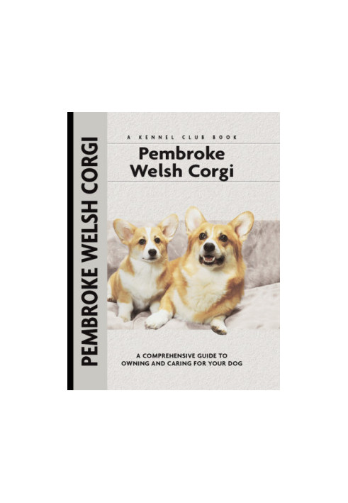 Pembroke Welsh Corgi
