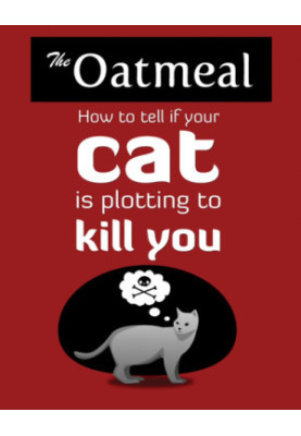 How to Tell If Your Cat Is Plotting to Kill You