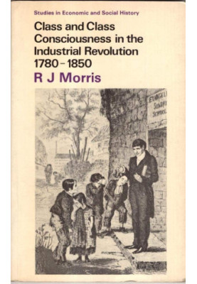 CLASS AND CLASS CONSCIOUSNESS IN THE INDUSTRIAL REVOLUTION