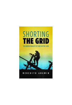 Shorting the Grid
